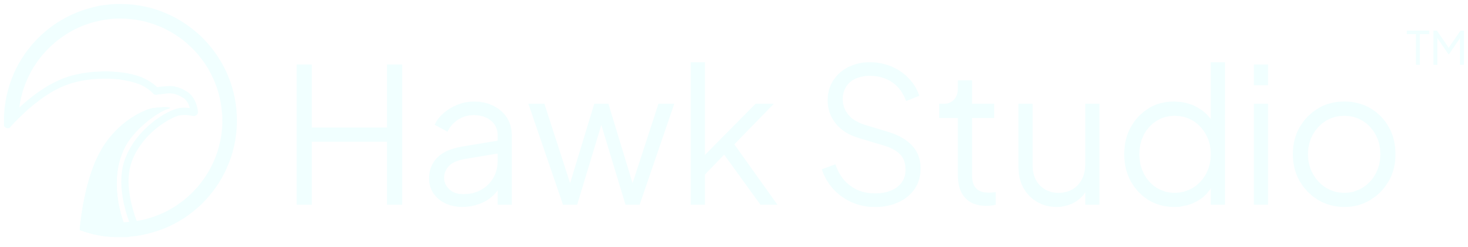 Hawk Studio